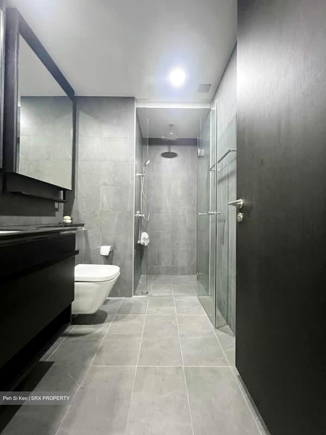 Park Colonial (D13), Condominium #586809531